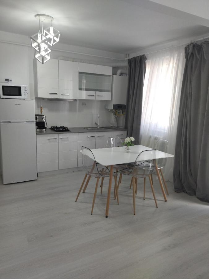 Apartament Max. Confort トゥルチャ エクステリア 写真